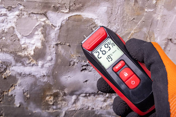 Best Mold Cleaning Services  in Porters Neck, NC
