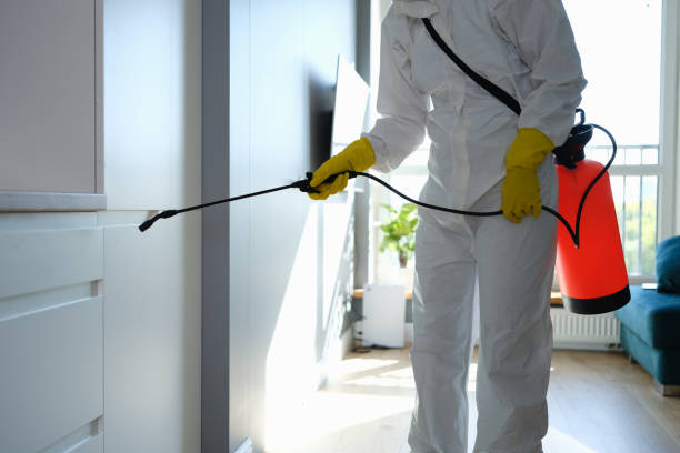 Office Mold Removal Services in Porters Neck, NC